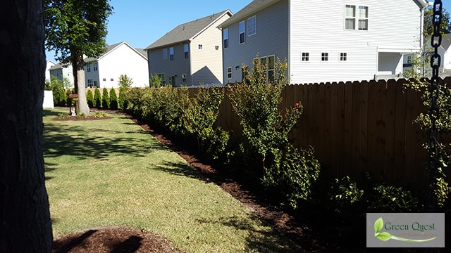 Weed Control and Pruning